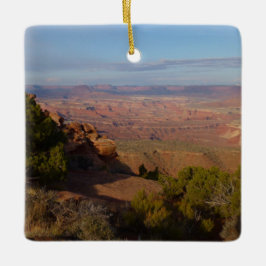Canyonlands vy från Grand View Point Trail Julgransprydnad Keramik