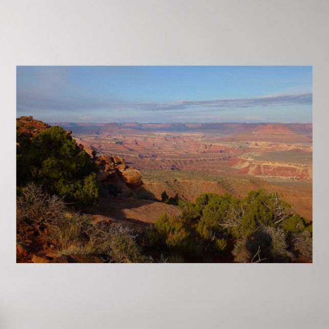 Canyonlands vy från Grand View Point Trail Poster (Framsidan)