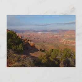 Canyonlands vy från Grand View Point Trail Vykort
