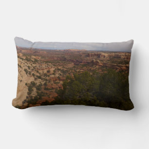 Canyonlands vy från Neck Springs Trail Lumbarkudde