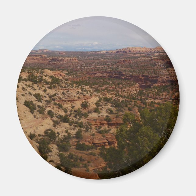 Canyonlands vy från Neck Springs Trail Magnet (Framsidan)
