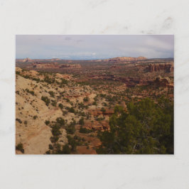Canyonlands vy från Neck Springs Trail Vykort