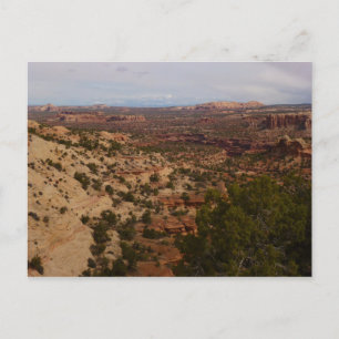 Canyonlands vy från Neck Springs Trail Vykort