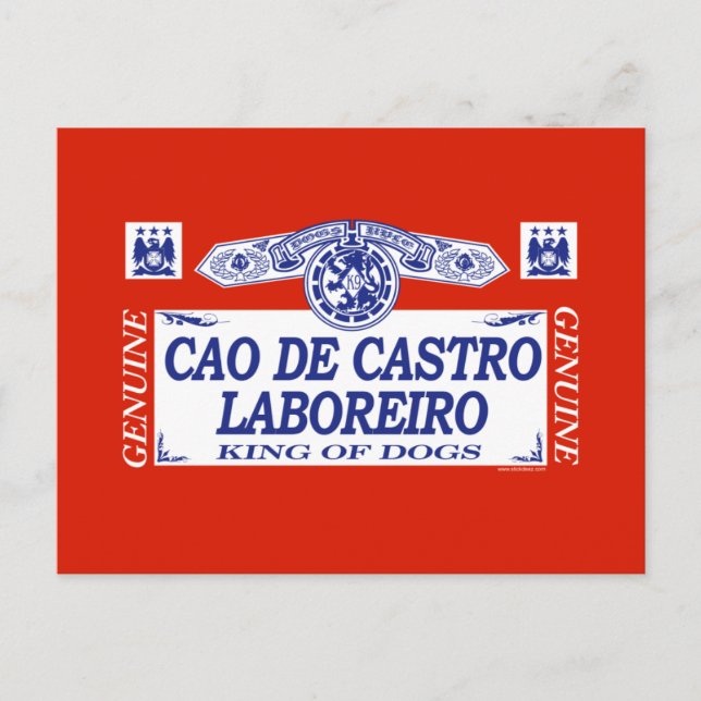 Cao De Castro Laboreiro Vykort (Framsida)