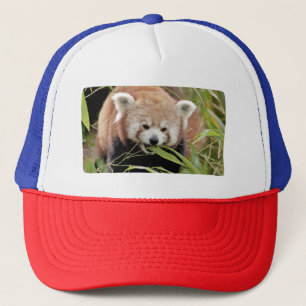 Cap Photo Red panda , djur 0008. Keps