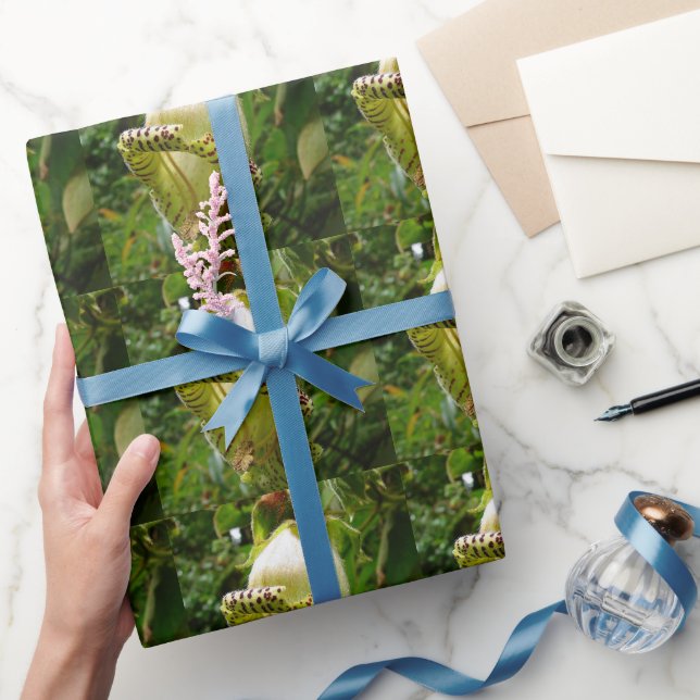 Capanea Grandiflora Presentpapper (Gåvor)