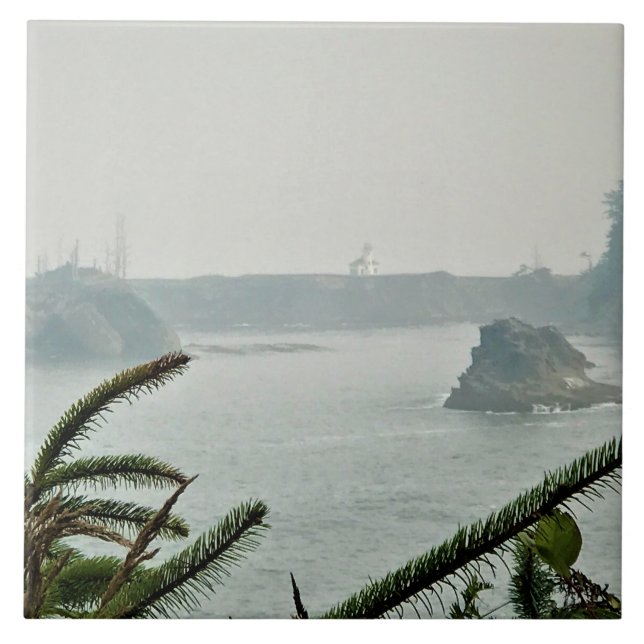 Cape Arago Lighthouse, OR Kakelplatta (Framsidan)