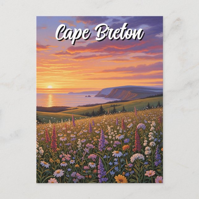 Cape Breton Island Kanada Wildblommor Sunset Vykort (Framsida)