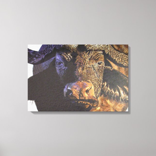 Cape Buffalo Canvastryck (Framsida)