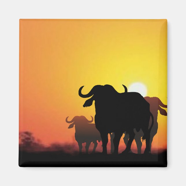 Cape Buffalo Magnet (Framsidan)