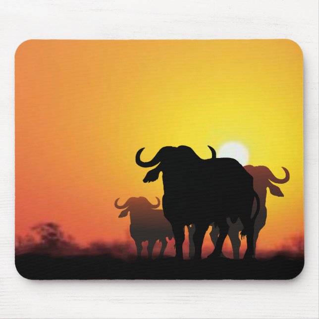 Cape Buffalo Musmatta (Framsidan)