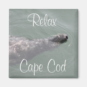 Cape Cod, Avslappnad Säl Flytande Magnet