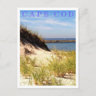 Cape Cod Dune Vykort