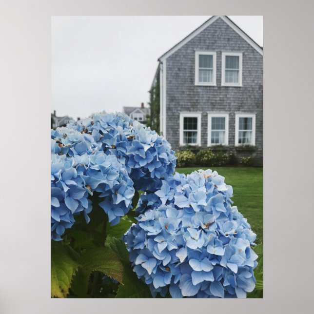 Cape Cod Hydrangea Home Poster (Framsidan)