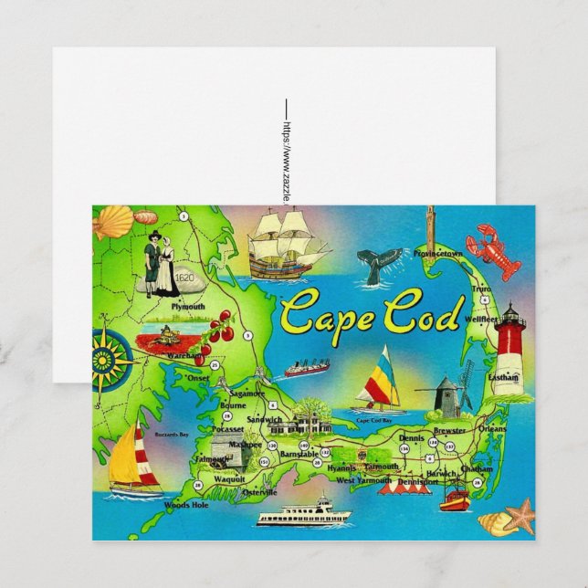 Cape Cod Illustrerat vykort (Fram/baksida)