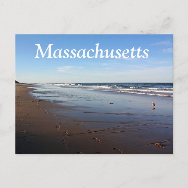 Cape Cod, Massachusetts Nauset Beach Postcard Vykort (Framsida)