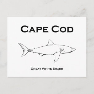 Cape Cod Massachusetts Underbar White Shark Logoty Vykort