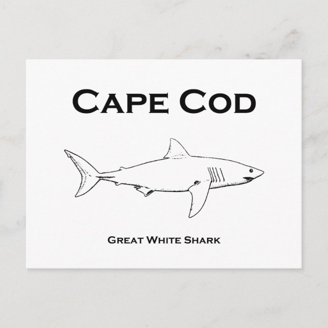 Cape Cod Massachusetts Underbar White Shark Logoty Vykort (Framsida)