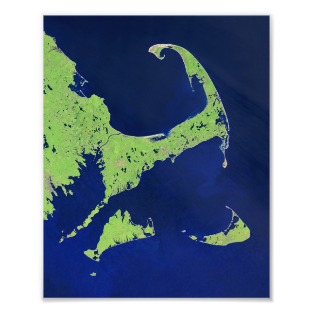 Cape Cod, Massachusetts, USA Fototryck (Framsidan)