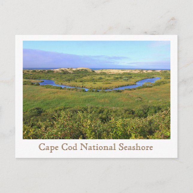 Cape Cod National Seashore Pilgrim Heiths Vykort (Framsida)