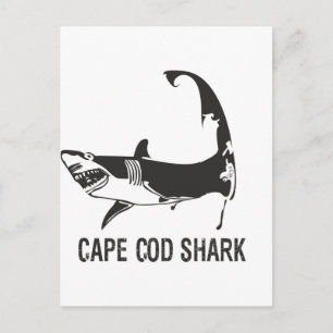 CAPE COD SHARK VYKORT