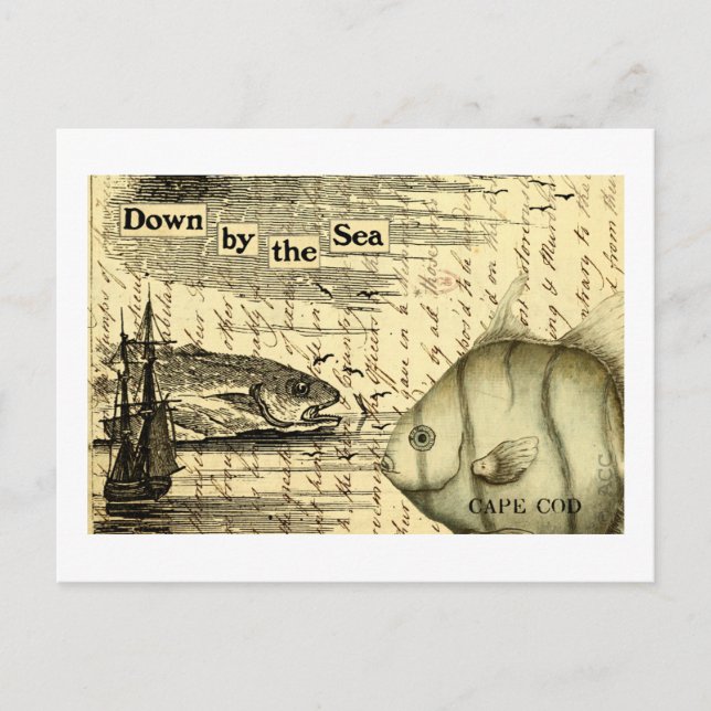 Cape Cod Vykort (Framsida)