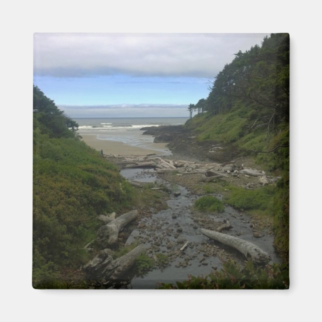 Cape Cove, Cape Perpetua, Oregon Magnet (Framsidan)
