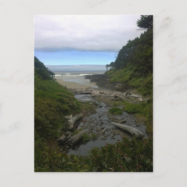 Cape Cove, Cape Perpetua, Oregon Vykort (Framsida)
