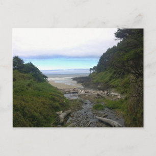 Cape Cove, Cape Perpetua, Oregon Vykort