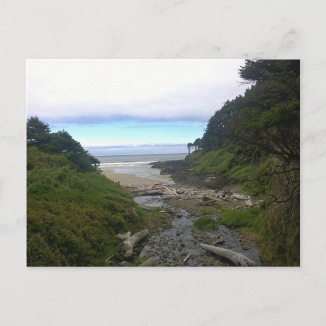 Cape Cove, Cape Perpetua, Oregon Vykort (Framsida)