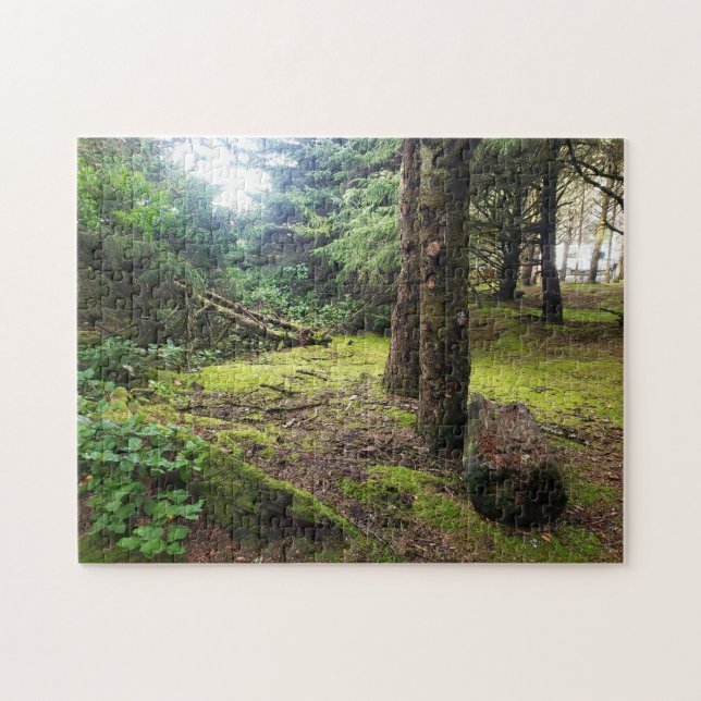 Cape Disappointment Camp Pacific Northwest Forest Pussel (Horisontell)