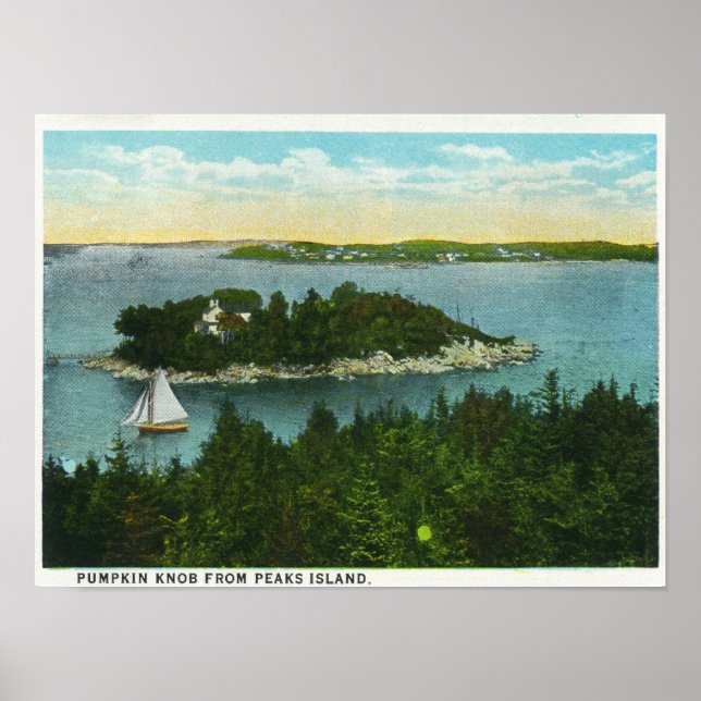 Cape Elizabeth View of Two Lighthouses Poster (Framsidan)