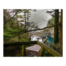 Cape Flattery Olympic Peninsula - Washington