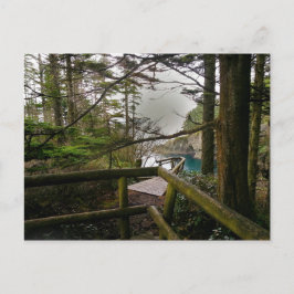 Cape Flattery Trail Olympic Peninsula Vykort