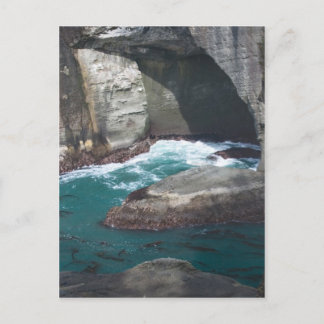 Cape Flattery Washington State Vykort
