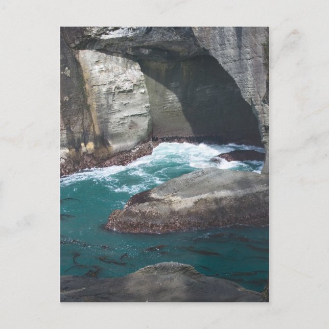 Cape Flattery Washington State Vykort (Framsida)