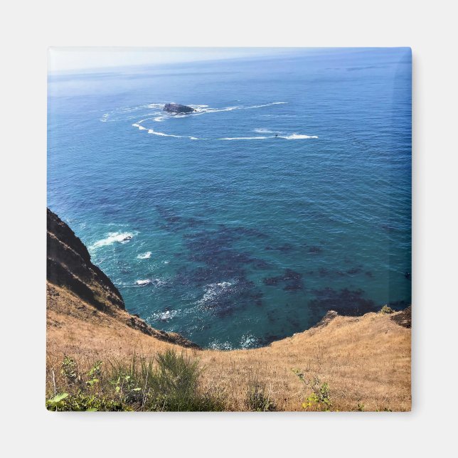 Cape Foulweather, Newport, Oregon Magnet (Framsidan)