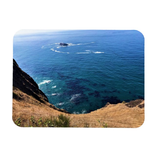 Cape Foulweather, Newport, Oregon Magnet (Horisontell)