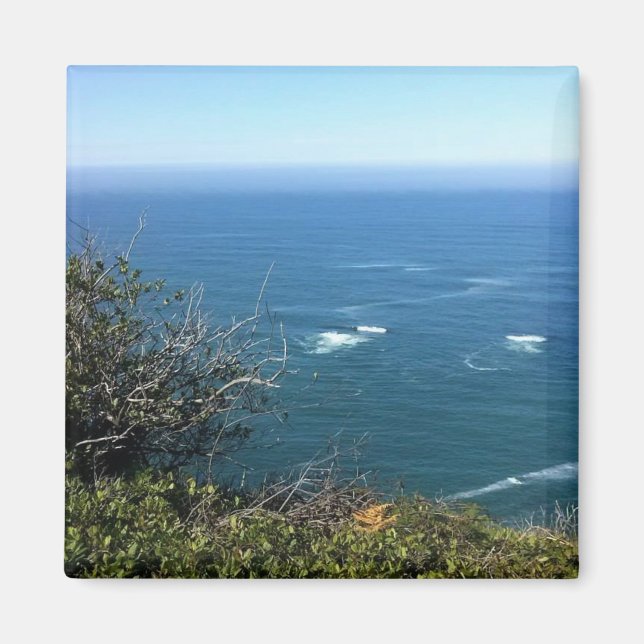 Cape Foulweather, Oregon Magnet (Framsidan)