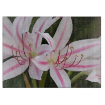 Cape Lilies-skärningsstyrelsen stor