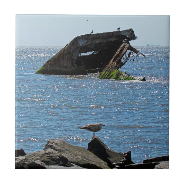 Cape May Shipwreck Kakelplatta (Framsidan)