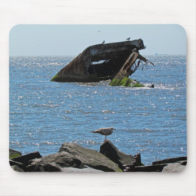 Cape May Shipwreck Musmatta (Framsidan)
