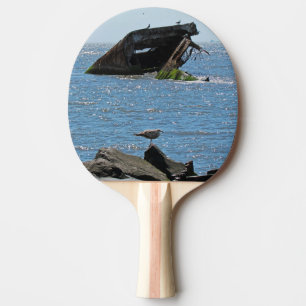 Cape May Shipwreck Pingisracket