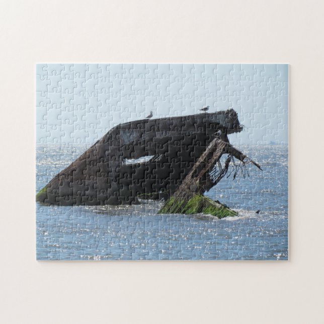Cape May Shipwreck Pussel (Horisontell)