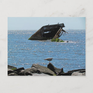 Cape May Shipwreck Vykort