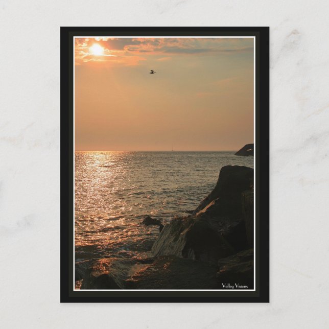 Cape May Vykort (Framsida)