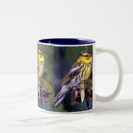 Cape May Warbler, fågelfåglar Två-Tonad Mugg