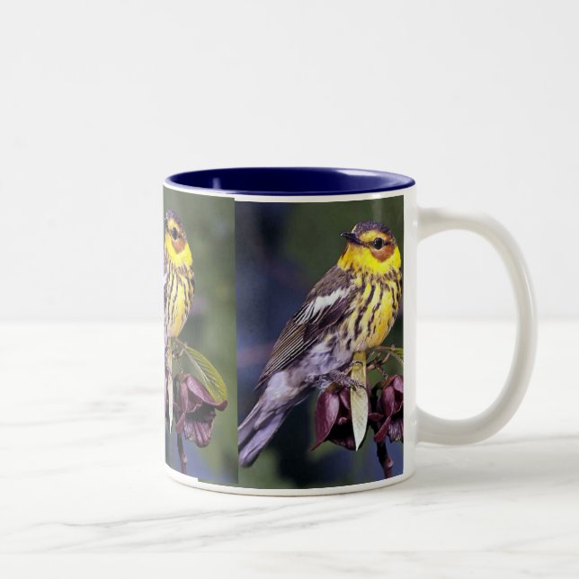 Cape May Warbler, fågelfåglar Två-Tonad Mugg (Höger)