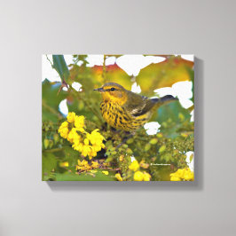 Cape May Warbler med Blommar Mahonia Canvastryck
