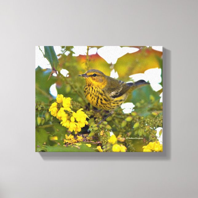 Cape May Warbler med Blommar Mahonia Canvastryck (Framsida)